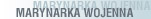 Marynarka Wojenna
