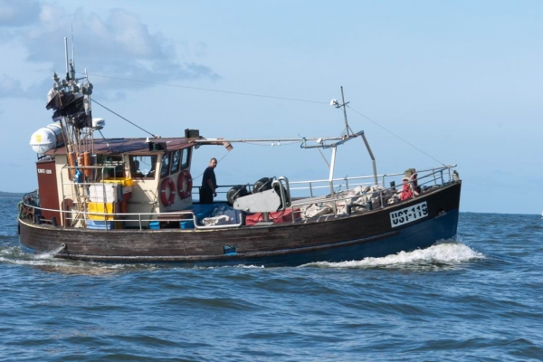 Tak będą wyglądały limity połowowe na Bałtyku w 2016 roku