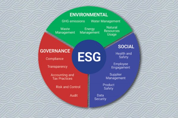 Ekspert: zasady ESG mają być stosowane w globalnych łańcuchach dostaw