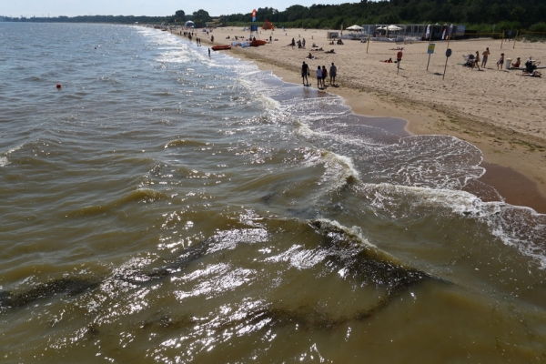 Zakwit sinic. Zamknięto prawie wszystkie plaże w Trójmieście