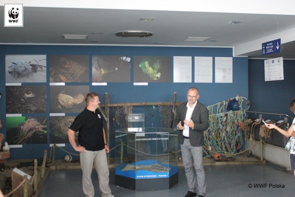 Otwarcie wystawy sieci widm w Akwarium Morskim w Gdyni