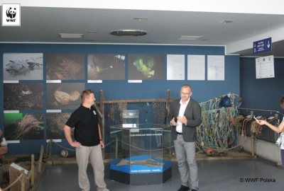 Otwarcie wystawy sieci widm w Akwarium Morskim w Gdyni