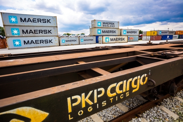 Wyniki przewozowe Grupy PKP CARGO w styczniu - dane GUS