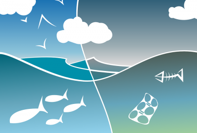 Fundacja MARE: w morzach i oceanach będzie więcej plastiku, niż ryb