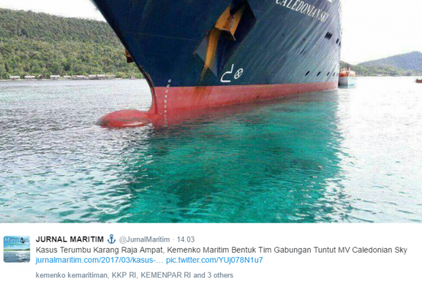 Statek uszkodził dziewiczą rafę koralową