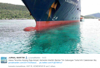 Statek uszkodził dziewiczą rafę koralową