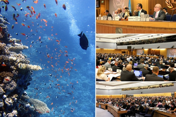 Posiedzenie Komitetu Ochrony Środowiska Morskiego Międzynarodowej Organizacji Morskiej...