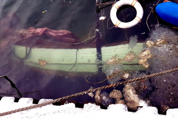Rozszczelnienie drewnianego poszycia kadłuba przyczyną zatonięcia Knudla