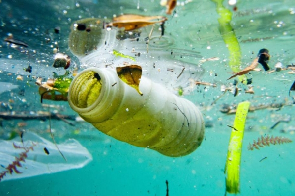 Plastik w morzach i oceanach