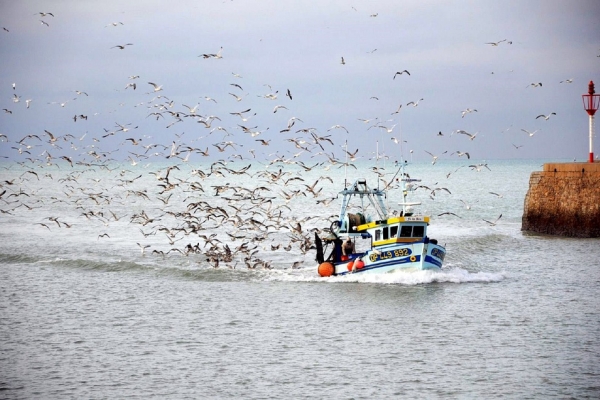 KE proponuje plan połowów ryb w 2019 r. na Atlantyku i Morzu Północnym