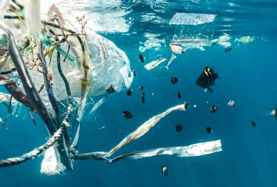 Plastik zanieczyszcza Galapagos