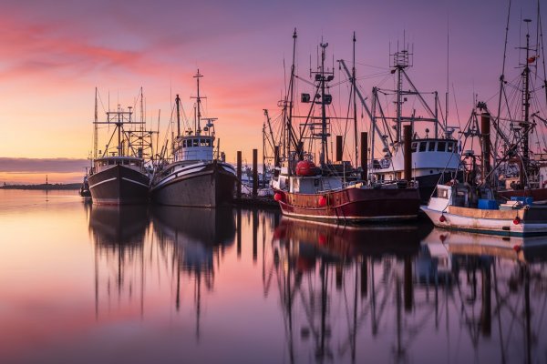 Rybołówstwo ofiarą zmian klimatu?