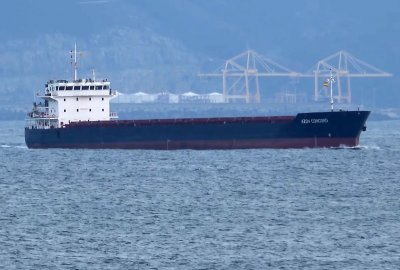 Turecki statek handlowy opuścił Mariupol jako pierwsza zagraniczna jedno...