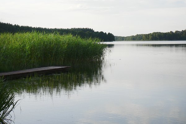 Warmińsko-mazurskie: Przyducha przyczyną śnięcia ryb w Jeziorze Łańskim...