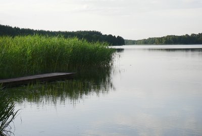 Warmińsko-mazurskie: Przyducha przyczyną śnięcia ryb w Jeziorze Łańskim...