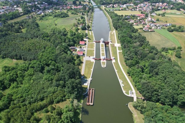 Polscy naukowcy znaleźli sposób na złotą algę