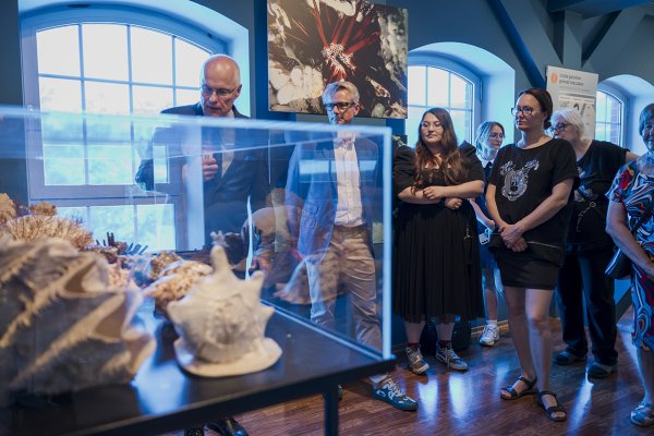Muzeum Wisły w Tczewie: Fascynujący świat morskich skarbów na wyciągnięcie ręki 