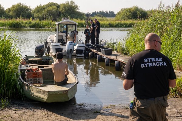 Wędkarze pomogą w zarybianiu Odry za blisko 1,7 mln zł