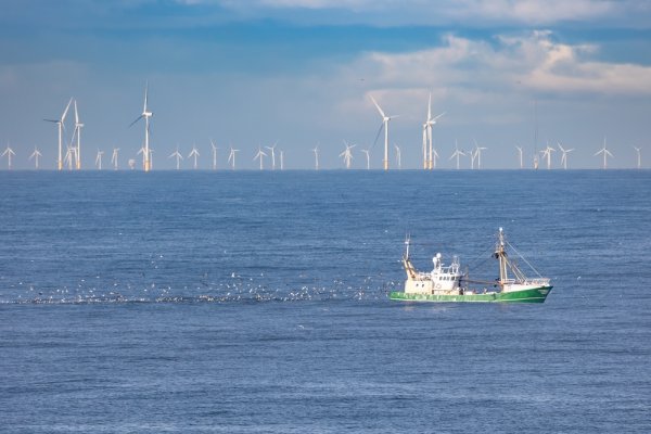 Rozwój energii wiatrowej na Bałtyku - klucz do zielonej transformacji i nowych kompeten...