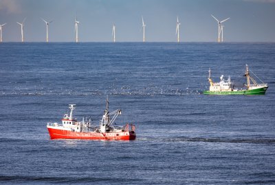 Equinor i Polenergia zapraszają rybaków na konsultacje