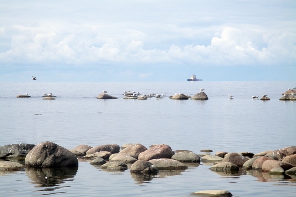 Greenpeace: Nord Stream 2 zagraża ekosystemowi Zatoki Fińskiej